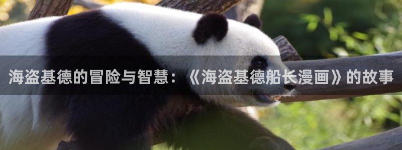 一耽漫网：海盗基德的冒险与智慧：《海盗基德船长漫画》的故事