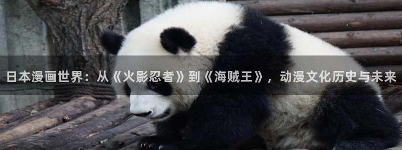 耽漫网之家动漫之家：日本漫画世界：从《火影忍者》到《海贼王》，动漫文化历史与未来