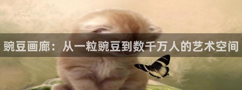 耽漫网官网：豌豆画廊：从一粒豌豆到数千万人的艺术空间