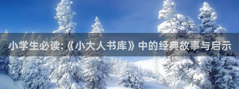 耽漫网官网：小学生必读:《小大人书库》中的经典故事与启示