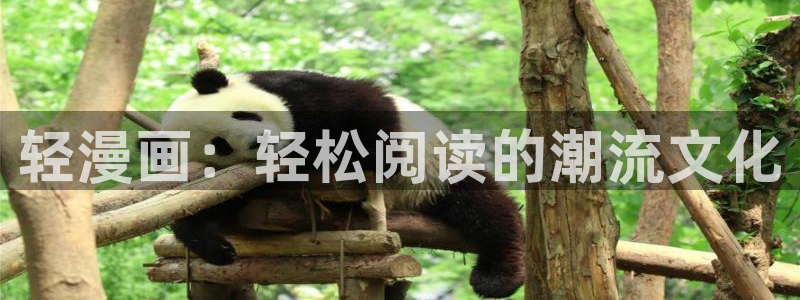 耽漫网下载：轻漫画：轻松阅读的潮流文化